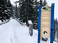 WinterRoadtrip018