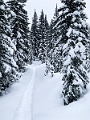 WinterRoadtrip021