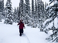 WinterRoadtrip023
