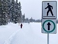 WinterRoadtrip026