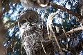 CalgaryZoo008
