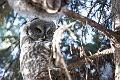 CalgaryZoo009
