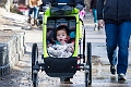 CalgaryZoo021