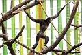 CalgaryZoo024