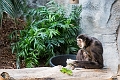 CalgaryZoo025