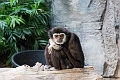 CalgaryZoo029