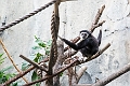 CalgaryZoo030