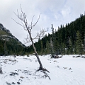 JuraCreek013