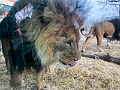 CalgaryZoo001