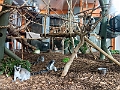 CalgaryZoo005