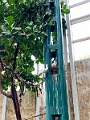 CalgaryZoo022