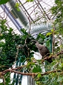 CalgaryZoo023