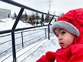 CalgaryZoo001