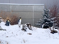 CalgaryZoo002