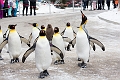 CalgaryZoo010
