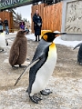 CalgaryZoo017
