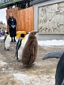 CalgaryZoo018