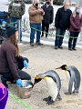 CalgaryZoo019