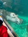 CalgaryZoo024