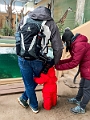 CalgaryZoo025