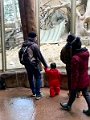 CalgaryZoo031