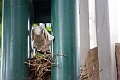 CalgaryZoo034