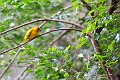 CalgaryZoo037