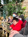 CalgaryZoo039