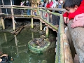 CalgaryZoo040