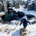 CalgaryZoo050