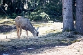 Banff029