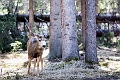 Banff030