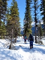 EmeraldLake020