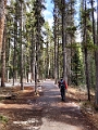 JohnstonCanyon003