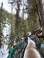 JohnstonCanyon015