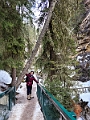 JohnstonCanyon018