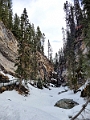 JohnstonCanyon021