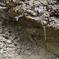 JohnstonCanyon036
