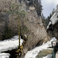JohnstonCanyon059