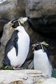 CalgaryZoo003