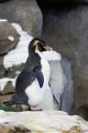 CalgaryZoo004