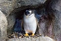 CalgaryZoo007