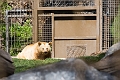CalgaryZoo016