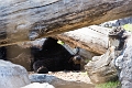 CalgaryZoo017