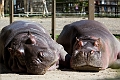 CalgaryZoo032