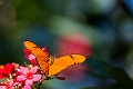 CalgaryZoo036