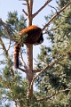 CalgaryZoo039