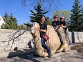 CalgaryZoo040