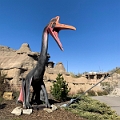 CalgaryZoo042