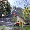 CalgaryZoo043